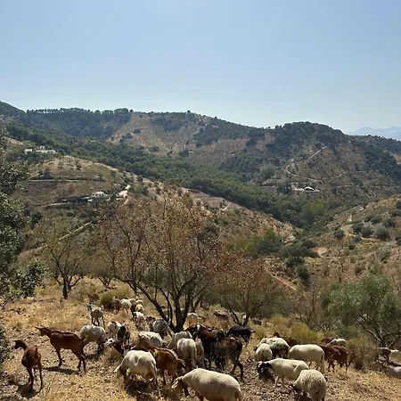 Andalusian La Cuadra Malaga